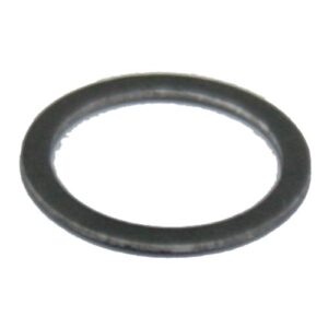 Fuel inlet washer (2pk)